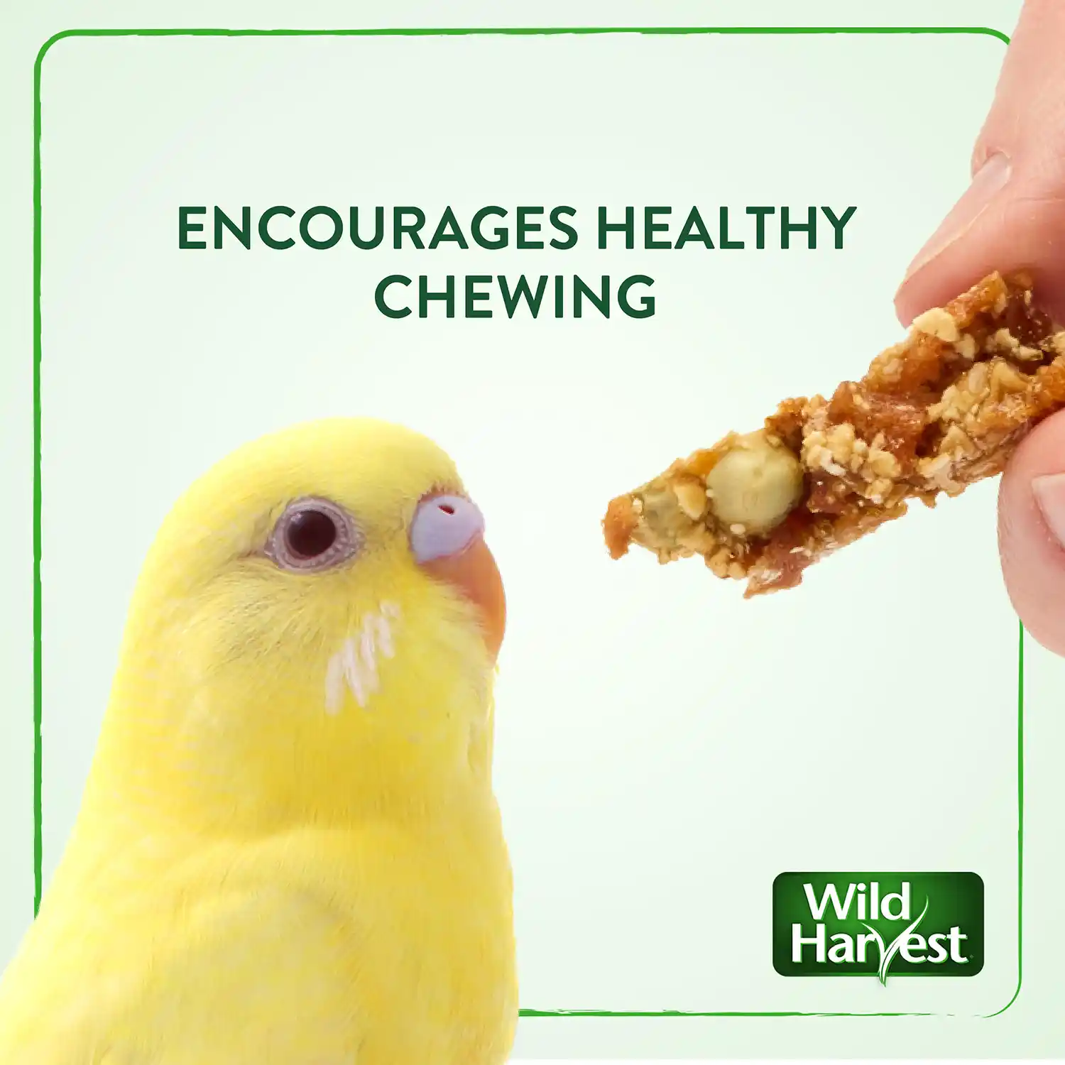 ENCOURAGES HEALTHY CHEWING