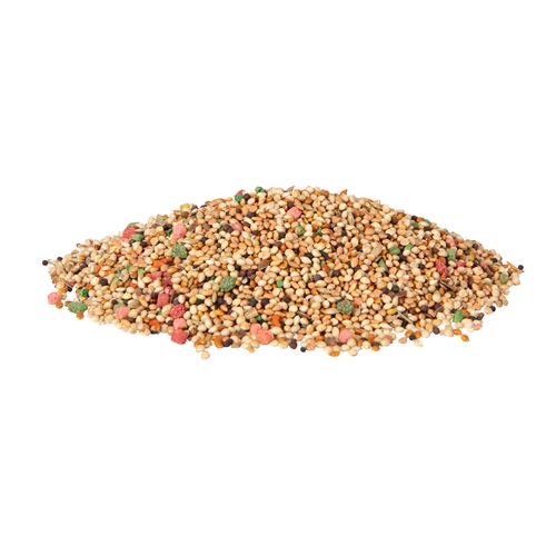 Daily Blend Nutrition Diet Parakeet, Canary & Finch