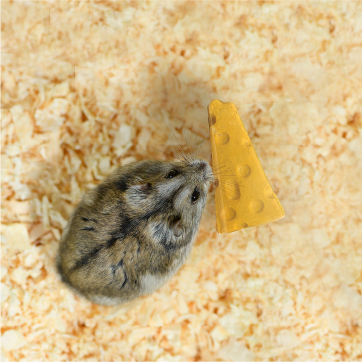 P-99286 Wild Harvest® Cheese Chews 1 oz In Use Photo
