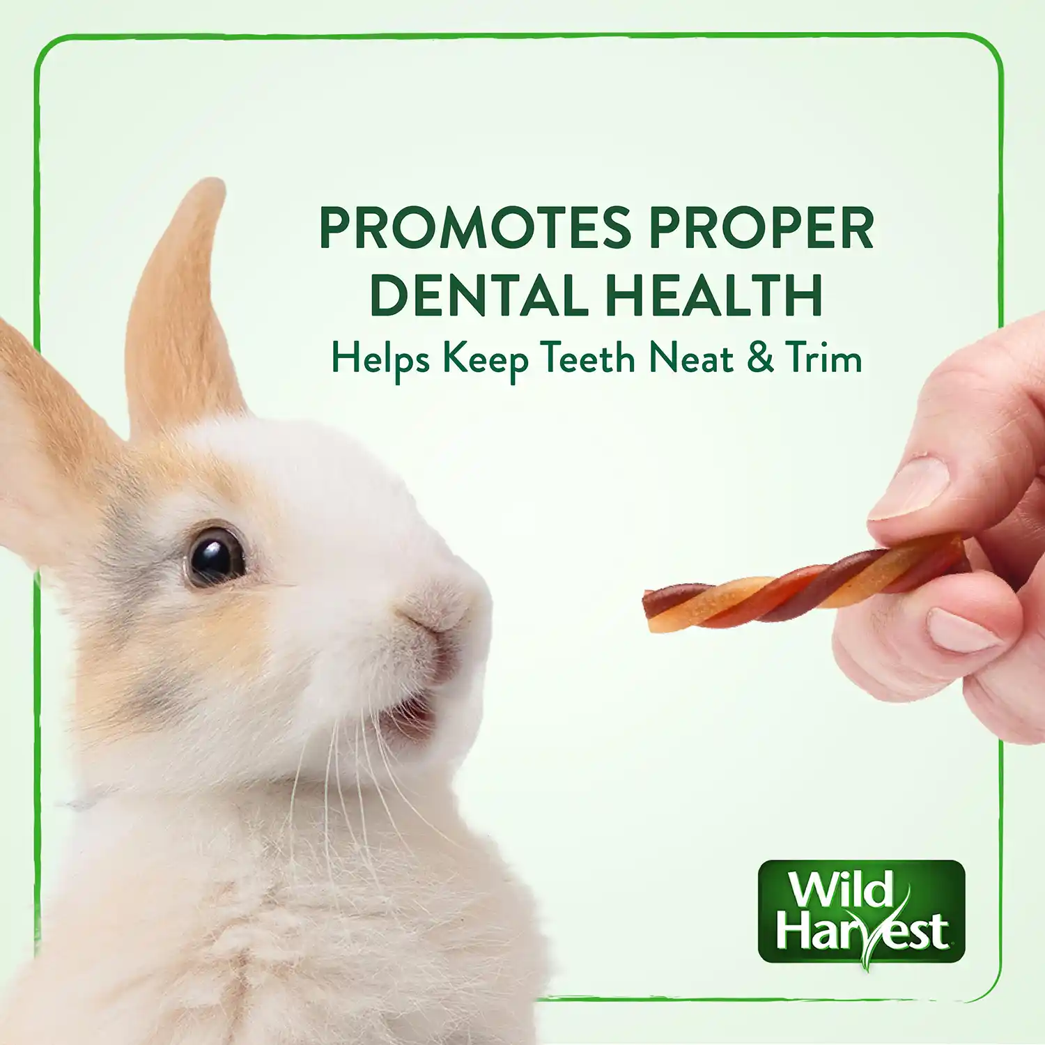 PROMOTES PROPER DENTAL HEALTH Helps Keep Teeth Neat & Trim