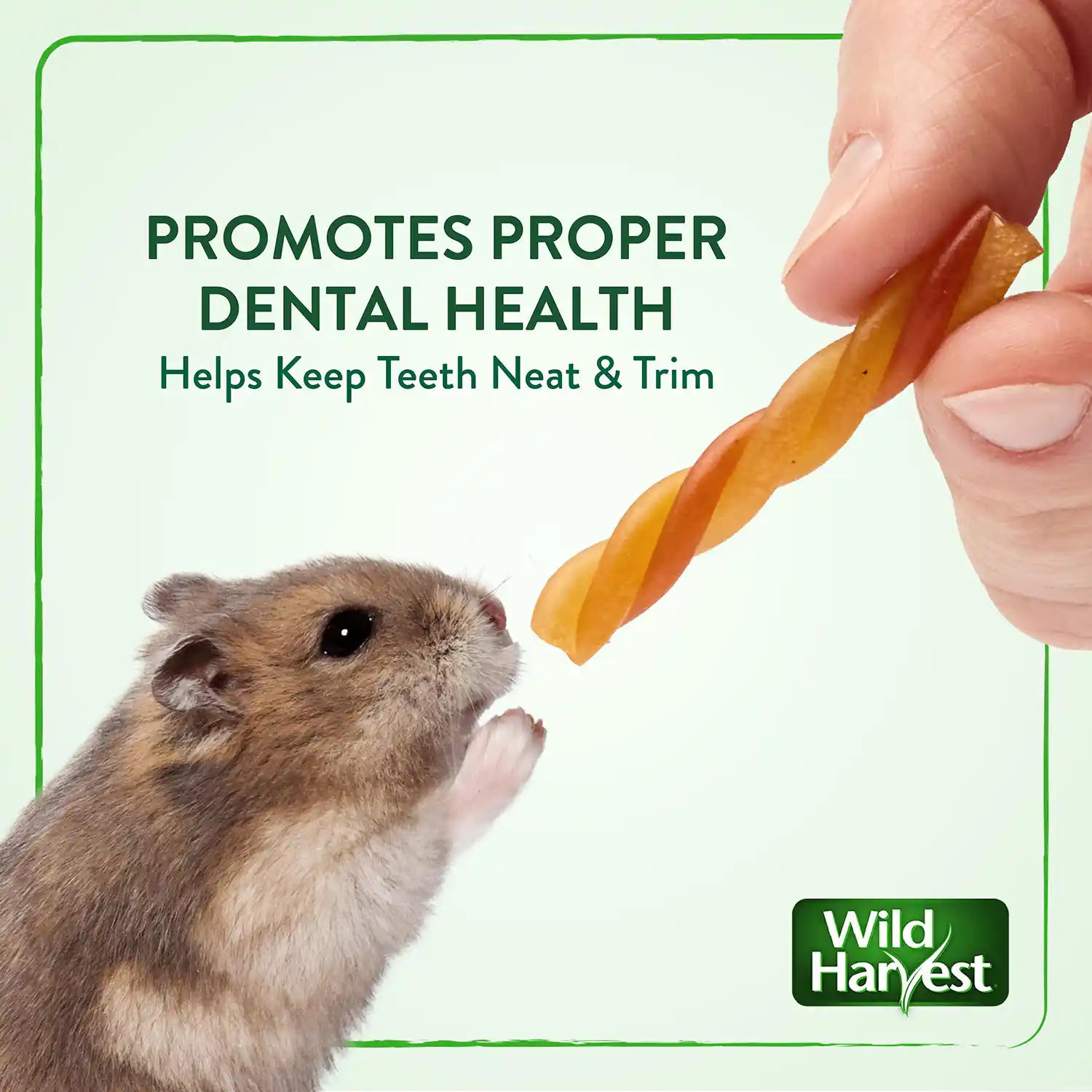 PROMOTES PROPER DENTAL HEALTH Helps Keep Teeth Neat & Trim