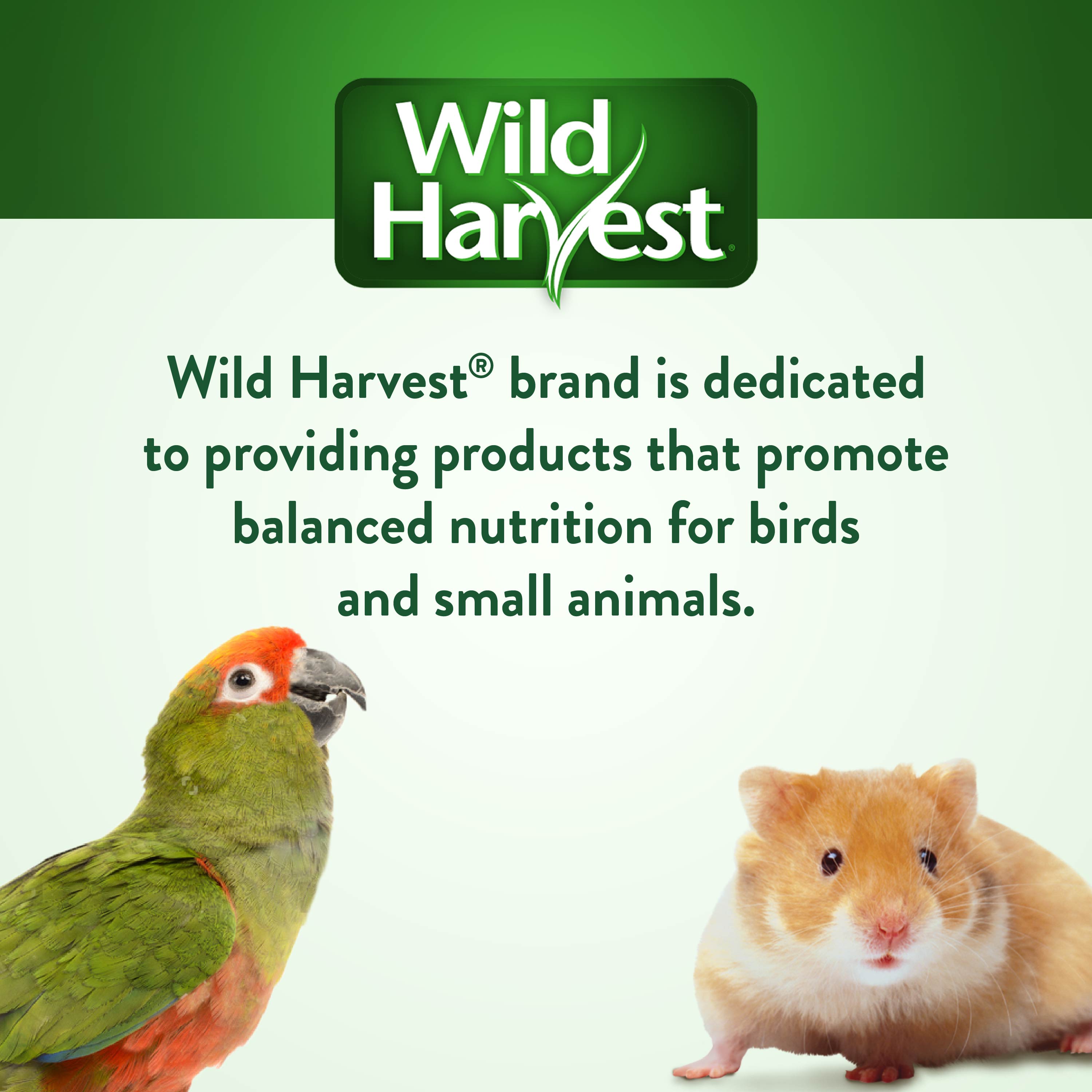 P99298_10_BrandStatement